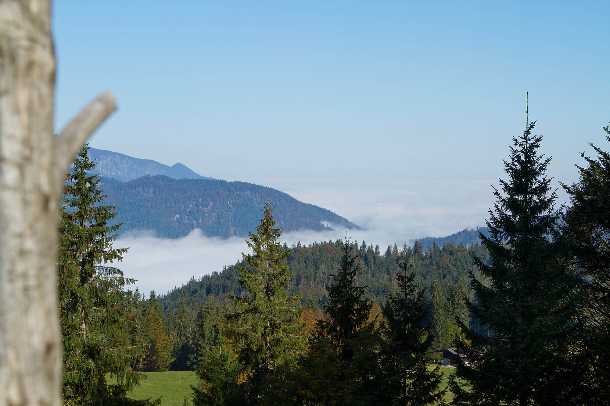 Ausblick von Hindenburghütte ins Chiemgau
